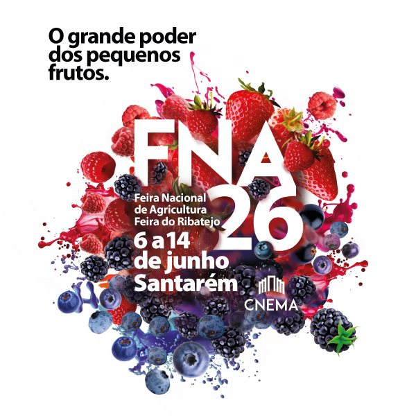 Imagem...