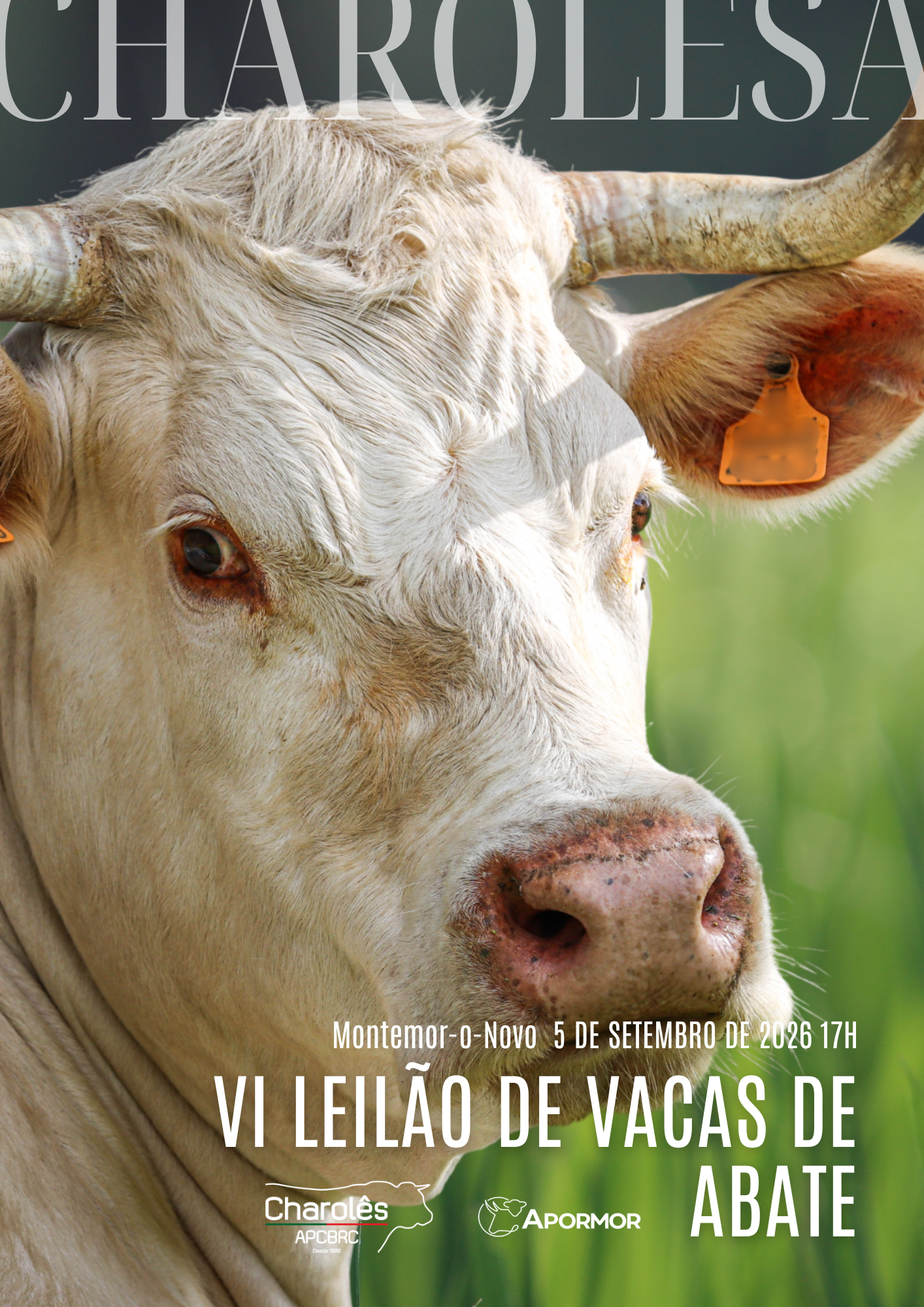 Imagem...